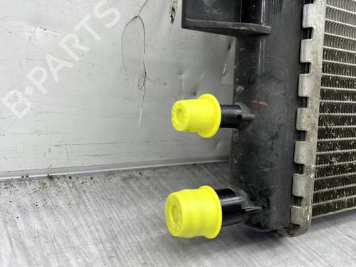 Water radiator DACIA SPRING EV (B6M1) | BP23887354M31  - Image 5