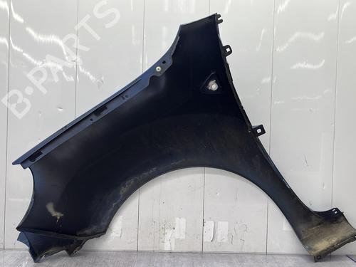 Right front fenders RENAULT KANGOO / GRAND KANGOO II (KW0/1_) 1.5 dCi 90 (KW05, KW08, KW0G, KW11) | BP28798654C42 