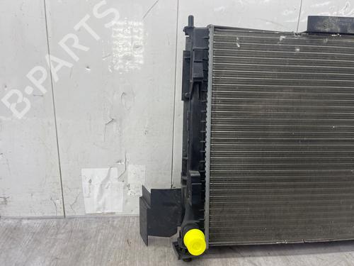 Køler Køler RENAULT TWINGO II (CN0_) 1.2 16V (CN04, CN0B) (75 hp) 37189575 37189575