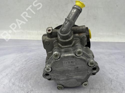 Steering pump DACIA SANDERO II 1.2 | BP30687339M99 