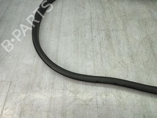 Gummiliste RENAULT MEGANE IV Hatchback (B9A/M/N_) 1.5 dCi 110 (B9A3) | BP25006479C142 - Image 3