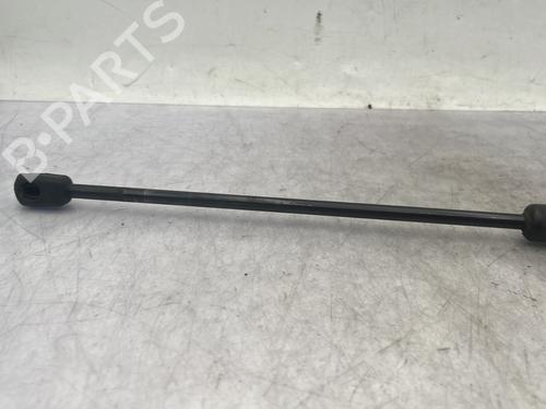 hood-lift-support-dacia-duster-hs_-2010-2011-2012-2013-2014-2015-2016-2017-2018-31016894 main image