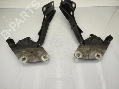 hingedoor-check-strap-renault-megane-iii-hatchback-bz01_-b3_-2008-23739207 main image