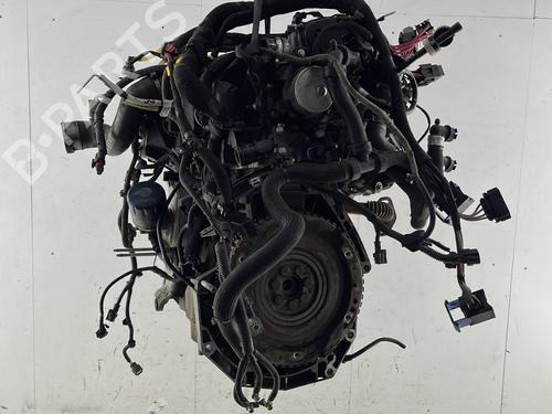 Engine RENAULT KANGOO Express (FW0/1_)  | BP33876257M1  - Image 6