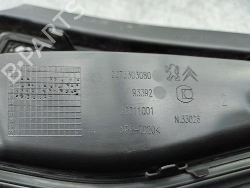 Scuttle panel PEUGEOT 2008 I (CU_) 1.6 HDi | BP23676796C110 - Image 6