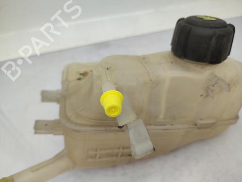 Expansion tank RENAULT MEGANE III Grandtour (KZ0/1) 1.5 dCi (KZ0C, KZ1A) | BP23719361C120 