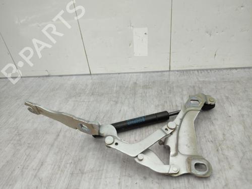 Hinge/Door check strap MINI MINI (R56) Cooper D | BP23678399C146 