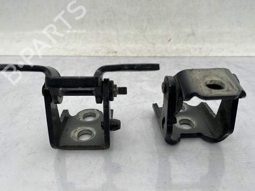 Hinge/Door check strap RENAULT MEGANE IV Hatchback (B9A/M/N_) 1.5 dCi 110 (B9A3) | BP25732251C146 