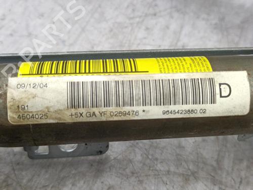 Used Right curtain airbag PEUGEOT 407 SW (6E_, 6D_) 2.0 HDi 135 (136 hp) 23708934