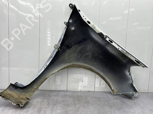 Left front fenders RENAULT CLIO III (BR0/1, CR0/1) 1.5 dCi (C/BR0G, C/BR1G) | BP25006487C41 