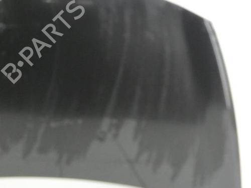Hood RENAULT CLIO III (BR0/1, CR0/1) 1.5 dCi (C/BR0G, C/BR1G) | BP23701933C1 