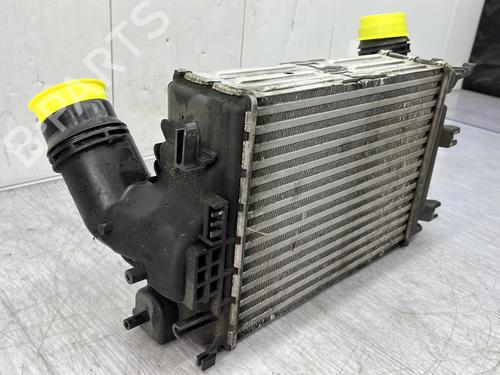 Intercooler RENAULT MEGANE IV Hatchback (B9A/M/N_) 1.6 dCi 165 | BP24940536M30 - Image 8