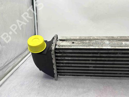 Intercooler FORD TRANSIT CONNECT (P65_, P70_, P80_) 1.8 Di | BP36591171M30  - Image 7