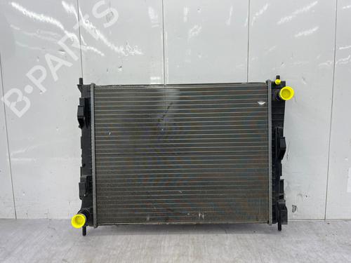 Water radiator RENAULT TWINGO II (CN0_) 1.2 16V (CN04, CN0B) | BP34000368M31  - Image 6