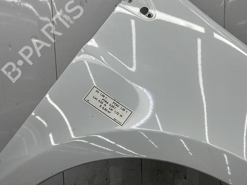 Right front fenders RENAULT CLIO III (BR0/1, CR0/1) 1.5 dCi (C/BR0G, C/BR1G) | BP27650897C42 