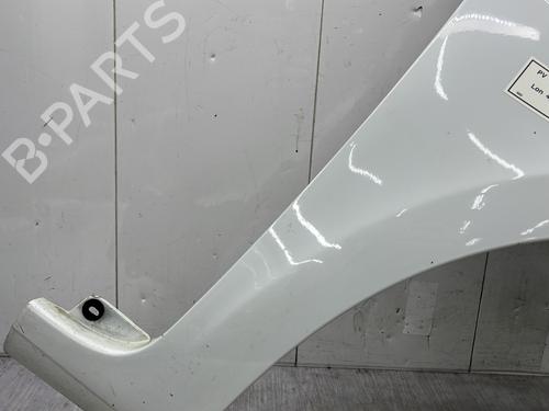 Right front fenders RENAULT CLIO III (BR0/1, CR0/1) 1.5 dCi (C/BR0G, C/BR1G) | BP27650897C42 