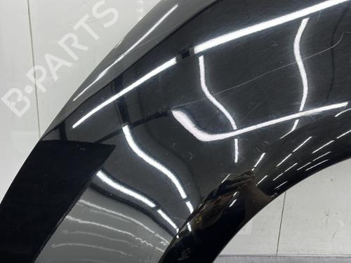 Left front fenders CITROËN C4 Picasso I MPV (UD_) 1.6 HDi | BP23757639C41 