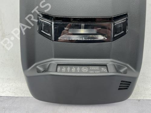 Interior roof light PEUGEOT 2008 II (UD_, US_, UY_, UJ_, UR_, UC_) 1.5 BlueHDI 130 | BP23754541I8