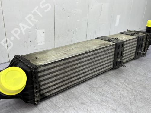 Intercooler RENAULT LAGUNA Coupe (DT0/1) 3.0 dCi (DT03) | BP23756042M30  - Image 6