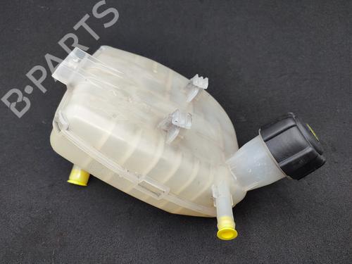 Used Expansion tank RENAULT TWINGO II (CN0_) 1.5 dCi (CN0E) (64 hp) 23755854