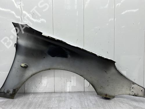 Left front fenders PEUGEOT 206 Hatchback (2A/C) 1.4 HDi eco 70 | BP28110267C41 