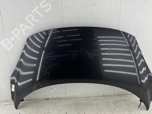 Used Hood RENAULT SCÉNIC III (JZ0/1_) 1.5 dCi (106 hp) 23754256