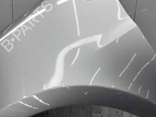 Left front fenders RENAULT CLIO III (BR0/1, CR0/1) 1.5 dCi (BR17, CR17) | BP29634701C41