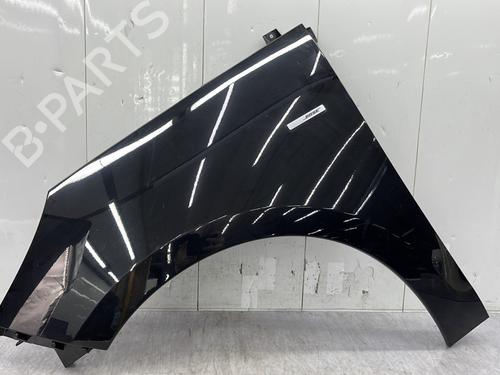 Used Left front fenders RENAULT SCÉNIC III (JZ0/1_) 1.6 dCi (JZ00, JZ12) (130 hp) 32373388