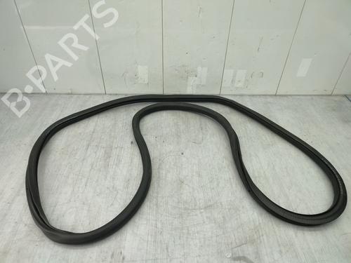 Used Rubber door seal VW TIGUAN (5N_) 2.0 TDI (140 hp) 24883456