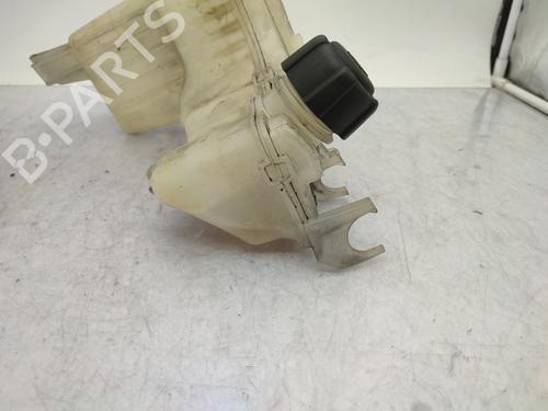 Used Expansion tank Expansion tank RENAULT LAGUNA III (BT0/1) 2.0 dCi (BT07, BT0J, BT14, BT1A, BT1S) (131 hp) 27402908 27402908