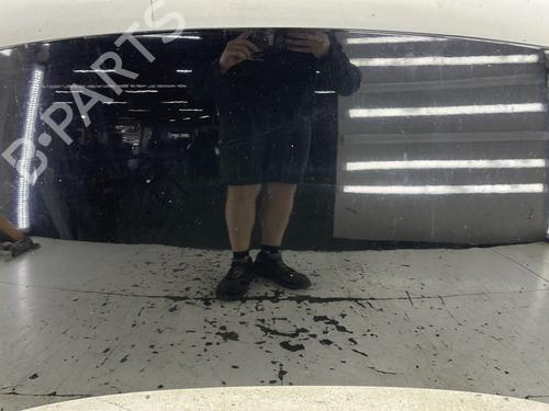 Hood RENAULT SCÉNIC III (JZ0/1_) 1.5 dCi | BP28353949C1 
