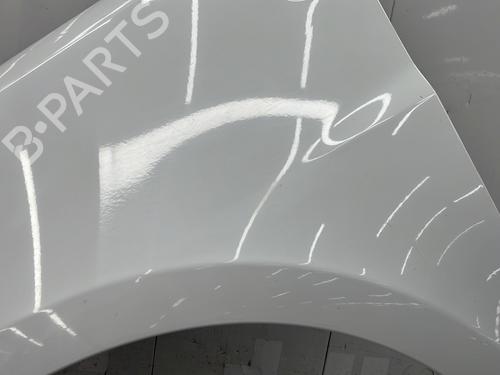 Left front fenders RENAULT CLIO III (BR0/1, CR0/1) 1.5 dCi (C/BR0G, C/BR1G) | BP25006487C41 
