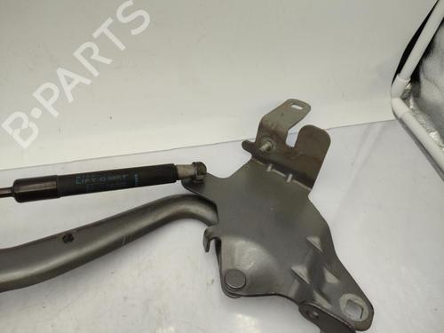 hingedoor-check-strap-renault-scenic-iii-jz01_-2008-2009-2010-2011-2012-2013-2014-2015-2016-23712338 main image