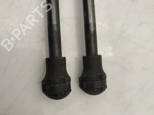 Tailgate lift support PEUGEOT 208 I (CA_, CC_) 1.6 HDi | BP25478198C138