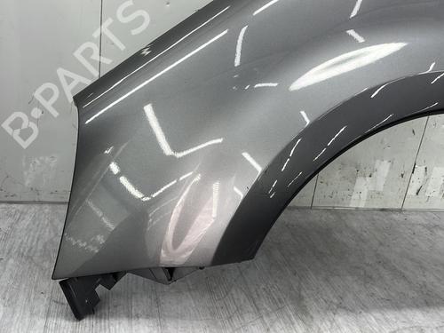 Left front fenders RENAULT MODUS / GRAND MODUS (F/JP0_) 1.5 dCi 75 | BP31137683C41