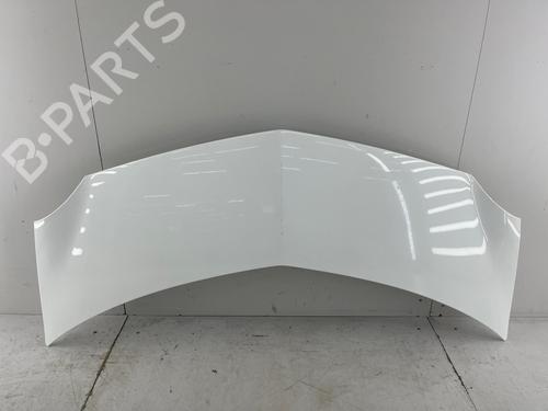 Used Hood Hood RENAULT MODUS / GRAND MODUS (F/JP0_) 1.4 (JP01, JP0J) (98 hp) 40594989 40594989