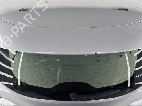 Tailgate RENAULT KADJAR (HA_, HL_) 1.3 TCe 160 (HLNC) | BP31754955C6 