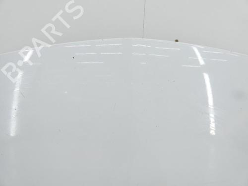 Used Hood RENAULT CLIO III (BR0/1, CR0/1) 1.5 dCi (C/BR0G, C/BR1G) (68 hp) 23700620
