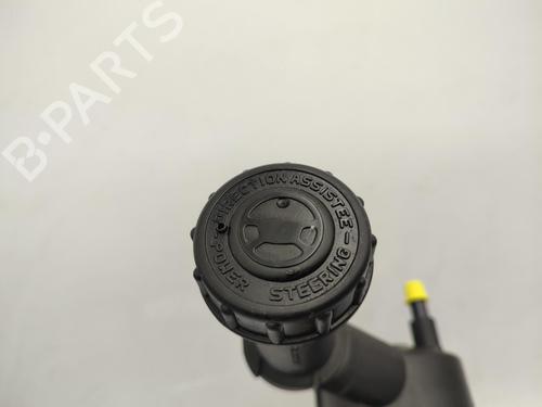 Steering pump PEUGEOT PARTNER Tepee 1.6 HDi 90 | BP23749237M99 - Image 7