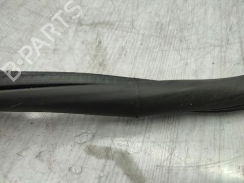 Rubber door seal PEUGEOT 308 II (LB_, LP_, LW_, LH_, L3_) 1.5 BlueHDi 130 | BP25820269C142 