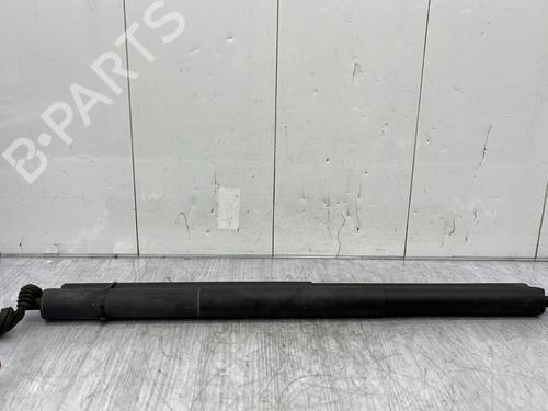 Tailgate lift support FORD KUGA II (DM2) 2.0 TDCi | BP23761288C138 - Image 7