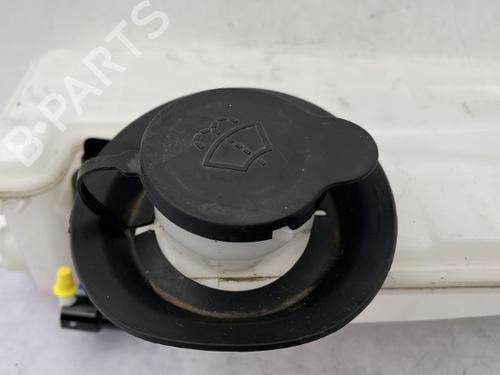 Sprinklertank DACIA SANDERO III 1.0 TCe 100 ECO-G | BP23758226C113
