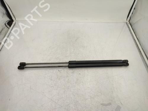 Used Tailgate lift support FORD FIESTA VI (CB1, CCN) 1.5 TDCi (75 hp) 23859583