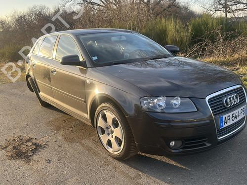 Brugte AUDI A3 Sportback (8PA) 2.0 TDI 16V (140 hp) 3474346