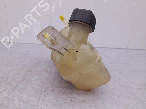 Used Expansion tank RENAULT MEGANE II (BM0/1_, CM0/1_) 1.9 dCi (BM0G, CM0G) (120 hp) 23711480