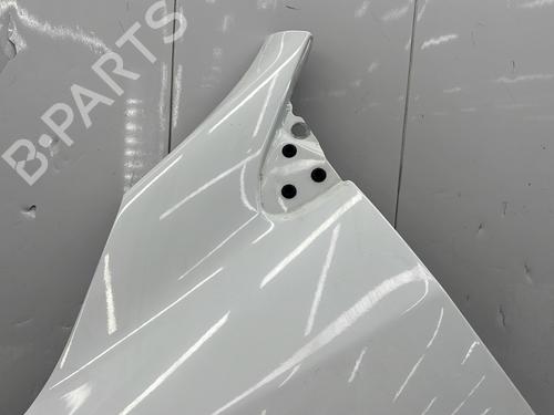 left-front-fenders-renault-megane-iii-hatchback-bz01_-b3_-2008-30408998 main image