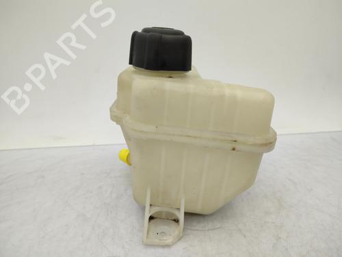 Expansion tank NISSAN QASHQAI I (J10, NJ10) 1.5 dCi | BP23710894C120