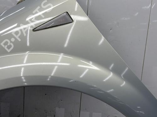 Left front fenders RENAULT SCÉNIC II (JM0/1_) 1.9 dCi (JM0G, JM12, JM1G, JM2C) | BP25997690C41 