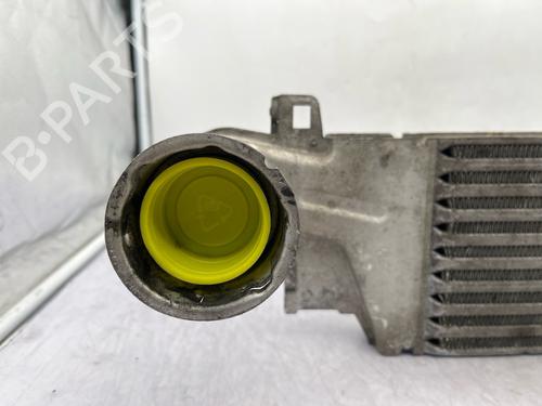 Intercooler OPEL CORSA C (X01) 1.3 CDTI (F08, F68) | BP35890479M30 - Image 6