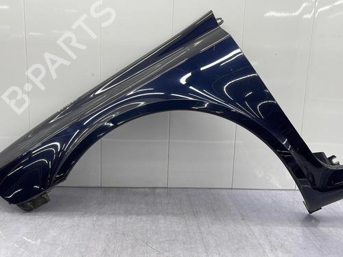 Left front fenders RENAULT LAGUNA II (BG0/1_) 1.9 dCi (BG1A, BG1W, BG0G) | BP23706468C41 